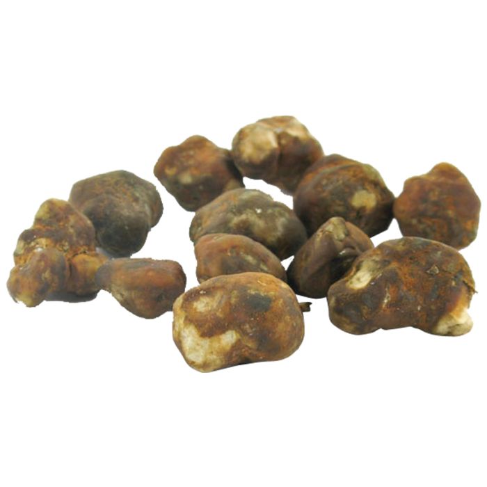 Magic Truffels Mexicana 15 Gram