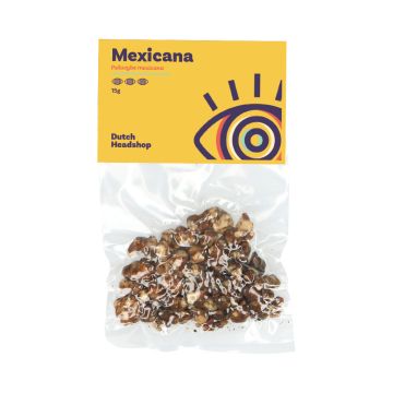 Magic Truffels Mexicana (Huismerk)