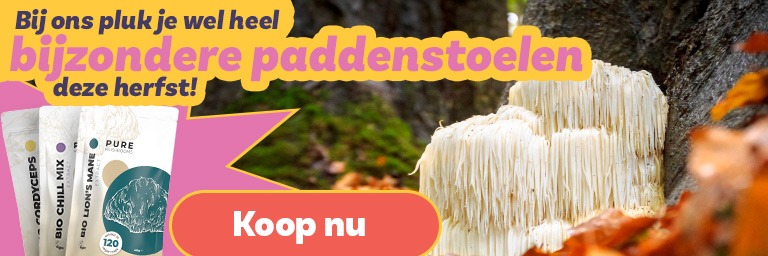 Bij ons koop je deze herfst wel heel bijzondere paddenstoelen!